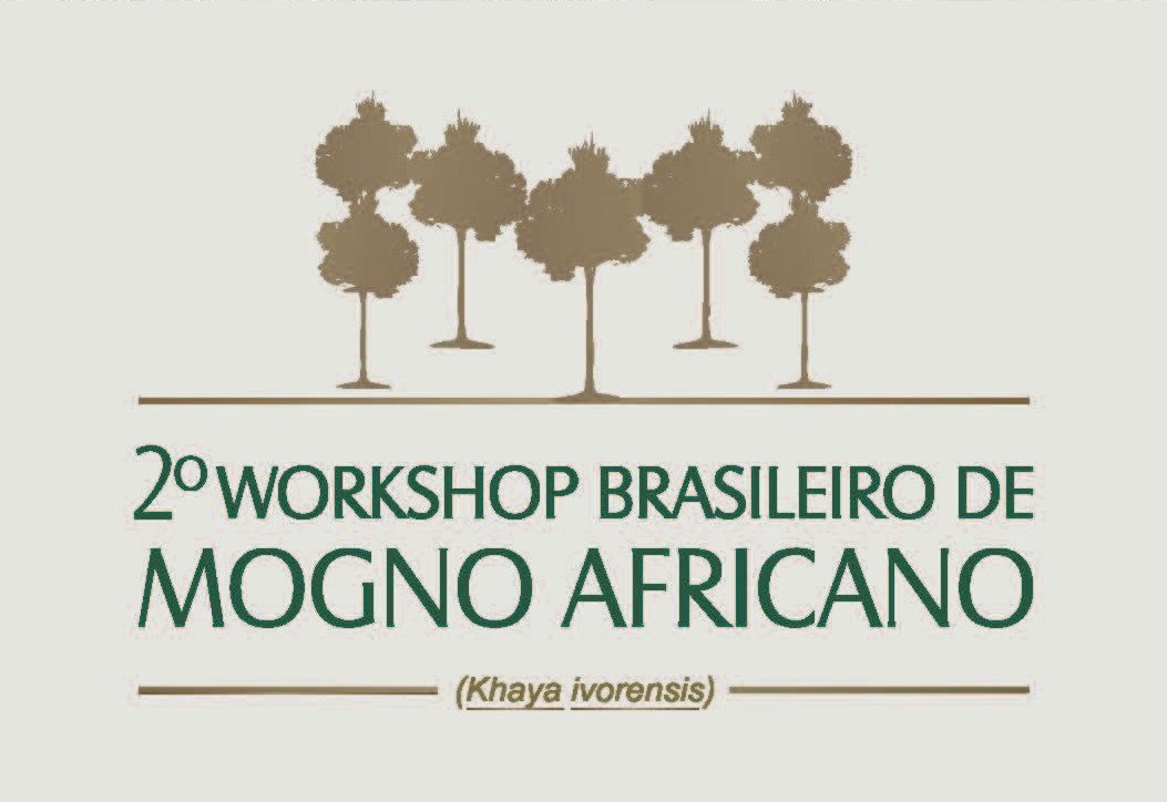 Encontro nacional sobre mogno africano discute seu desenvolvimento e apresenta inventário florestal da espécie