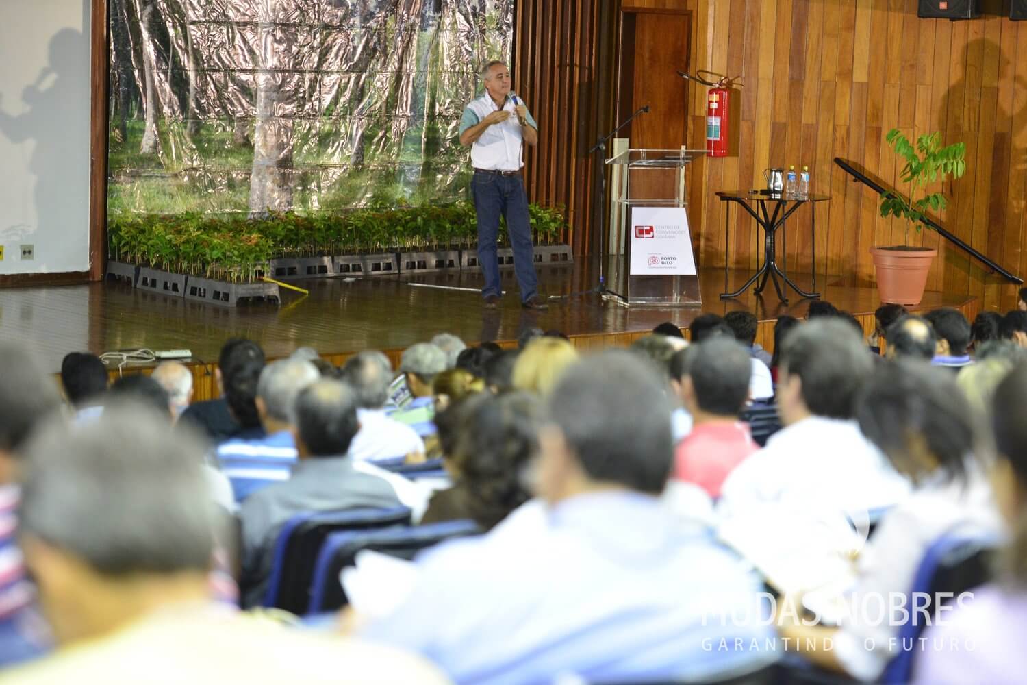 Confira fotos de alguns momentos do 2º Workshop Brasileiro de Mogno Africano