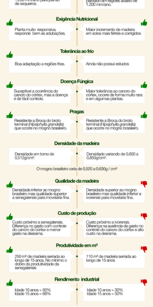 Infográfico: qual a diferença entre as espécies khaya ivorensis e khaya senegalensis?