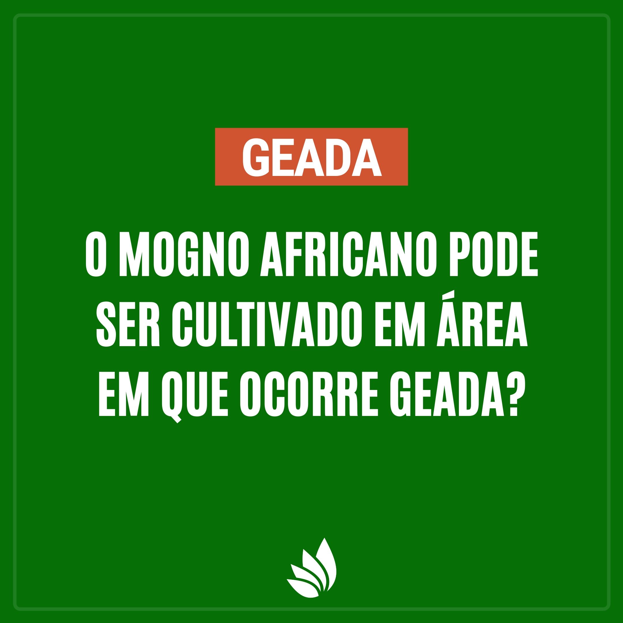 O mogno africano pode ser cultivado em área em que ocorre geada?