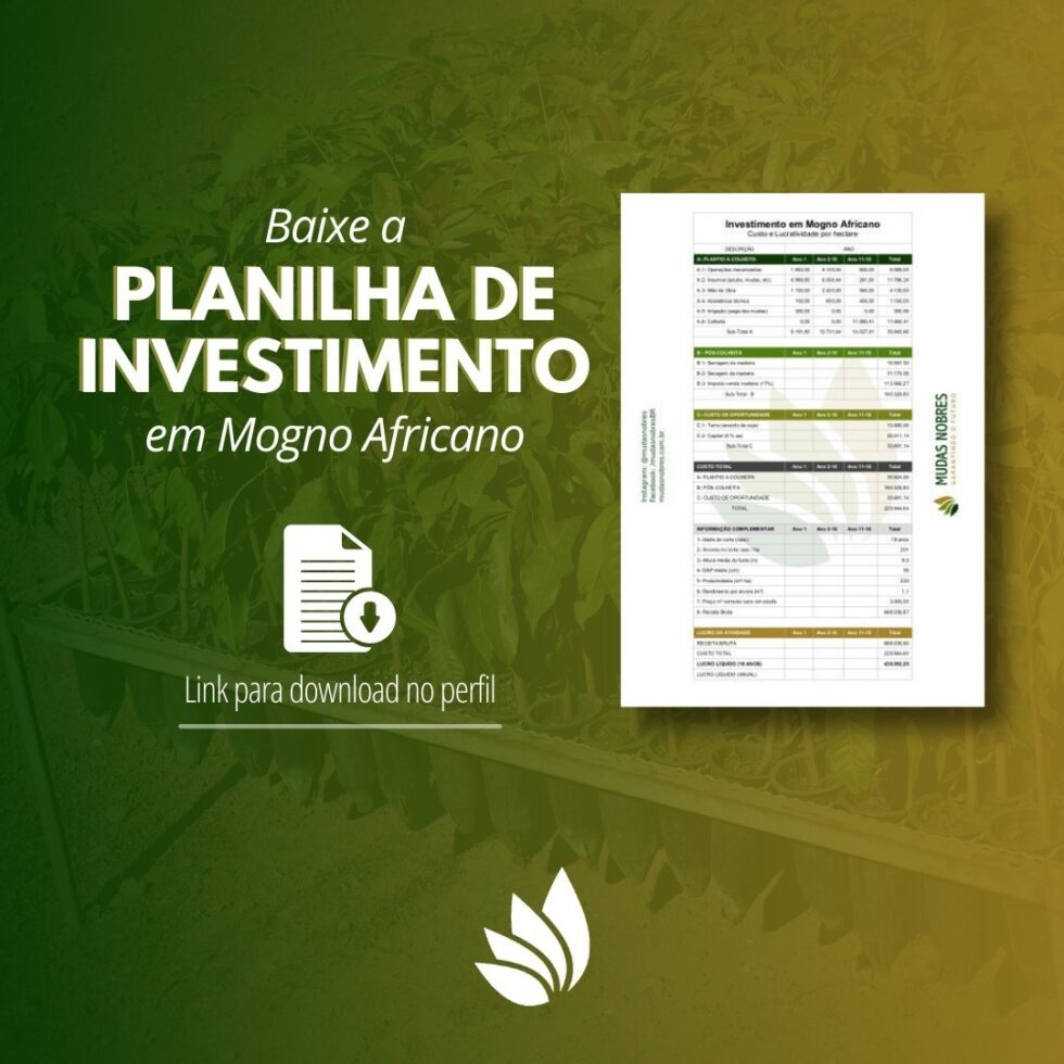 Planilha De Investimento Em Mogno Africano Mudas Nobres